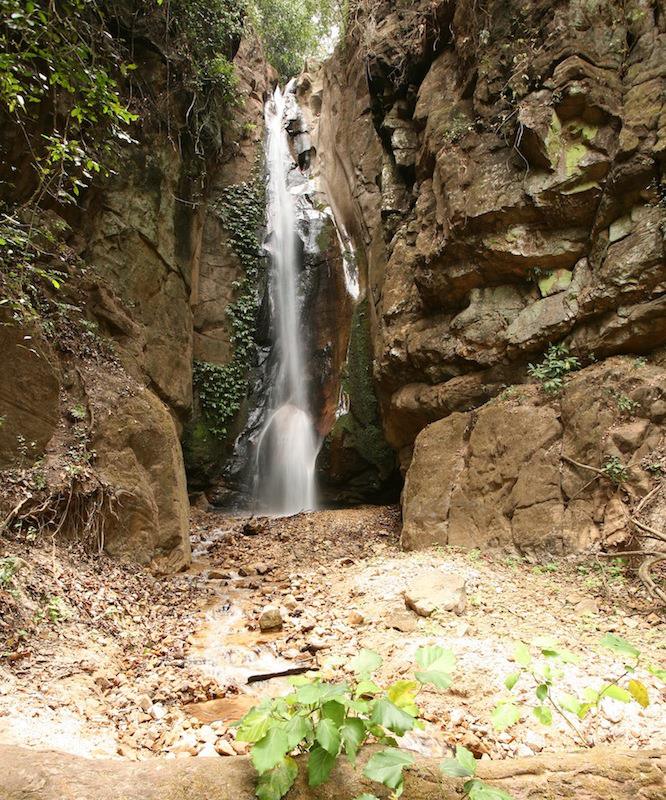 Gombe Stream - Chimpansee Trekking Tanzania