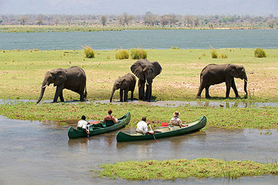 Kano safari Zimbabwe