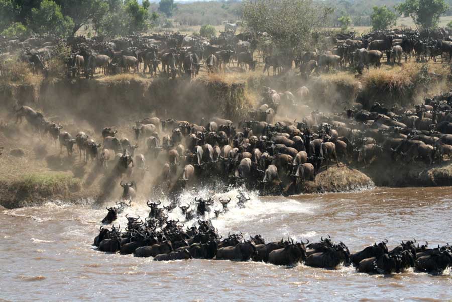 Serengeti safari Tanzania