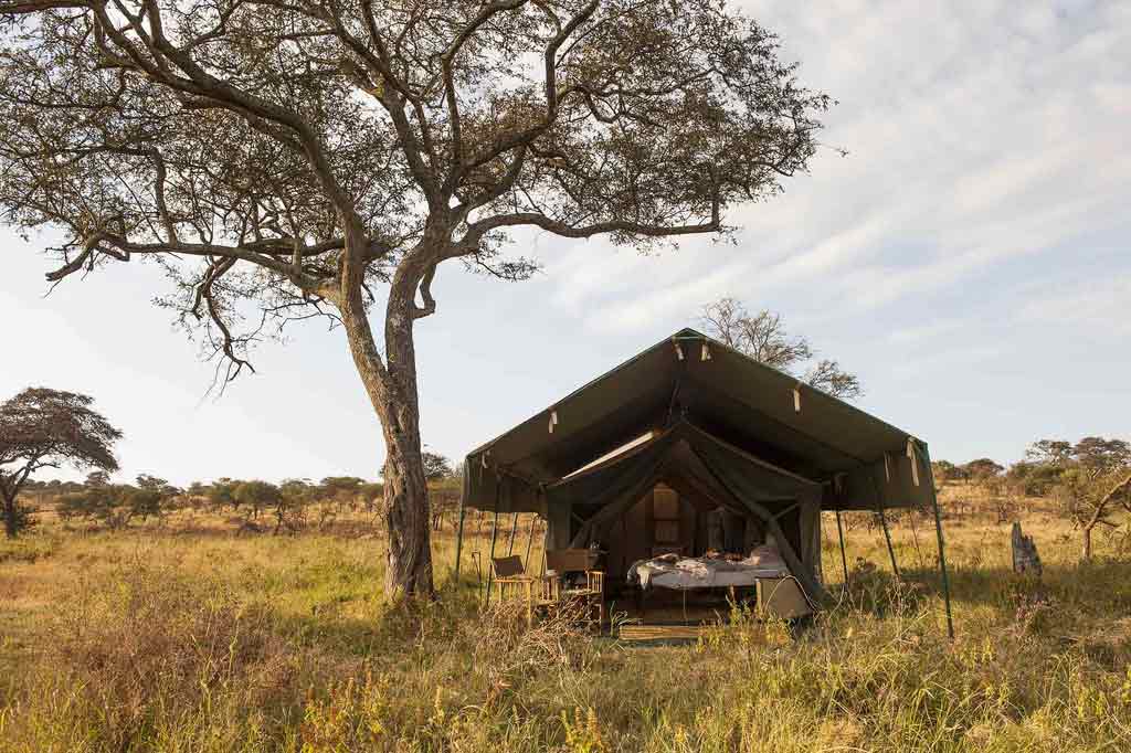 Serengeti safari Tanzania