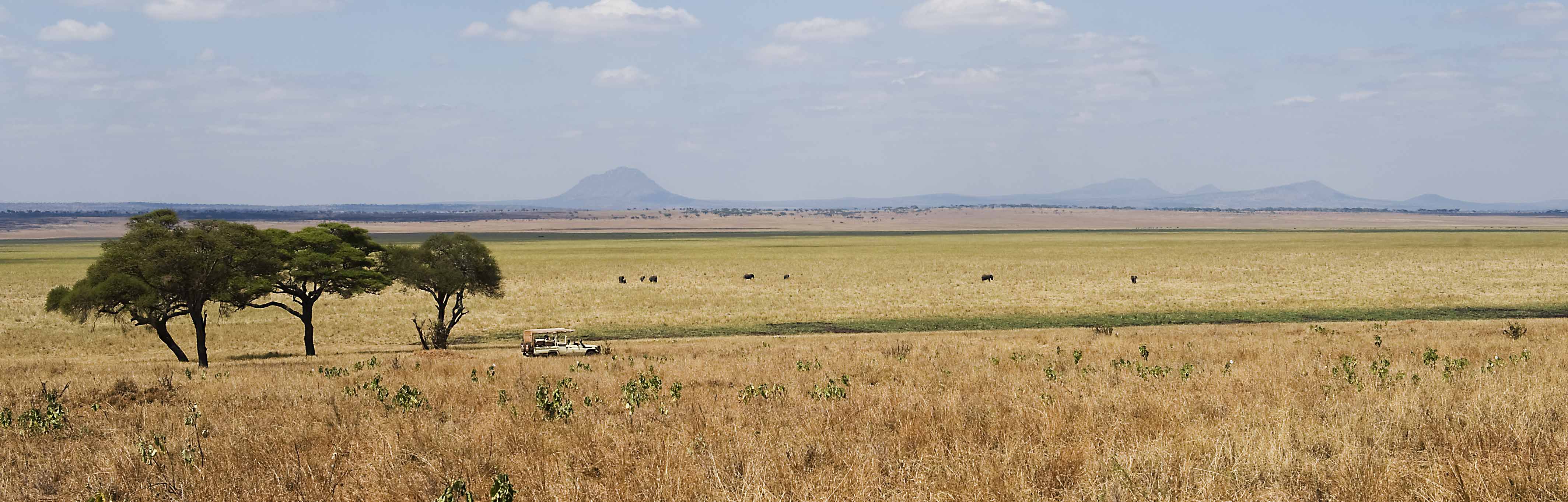 safari Tarangire Tanzania