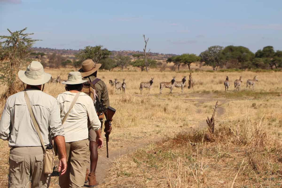 Tarangire safari Tanzania