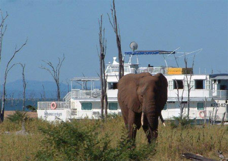 Lake kariba houseboat Zimbabwe